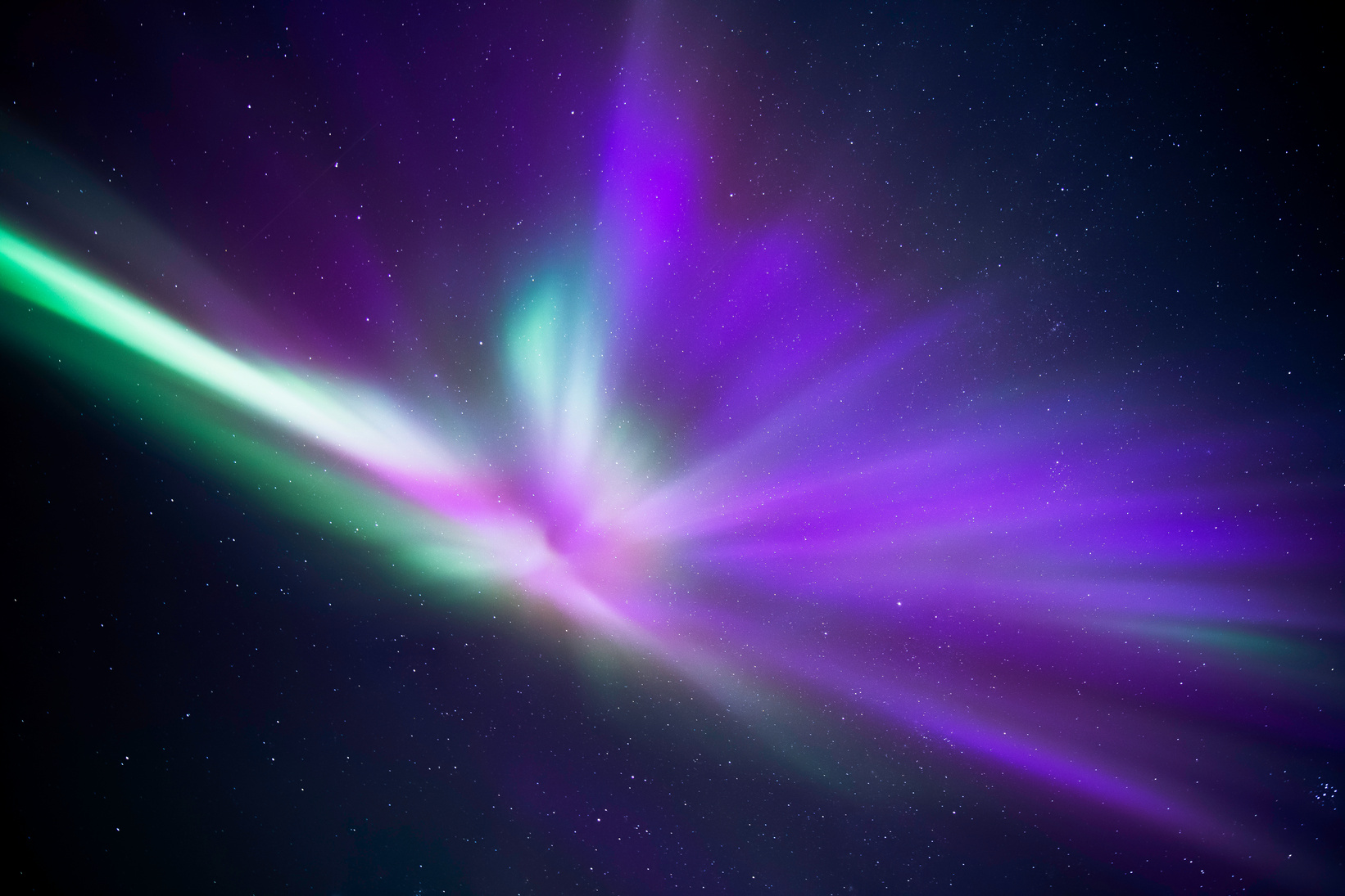Aurora Angel